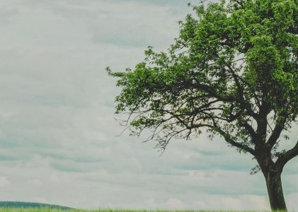 明天和意外，我选今天