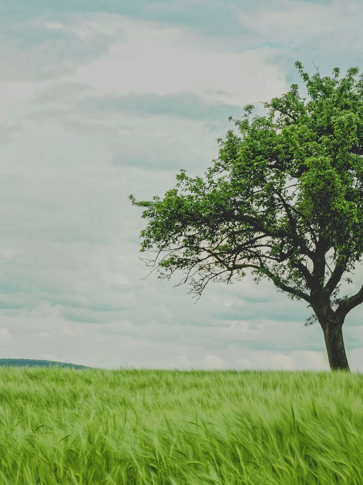 明天和意外，我选今天