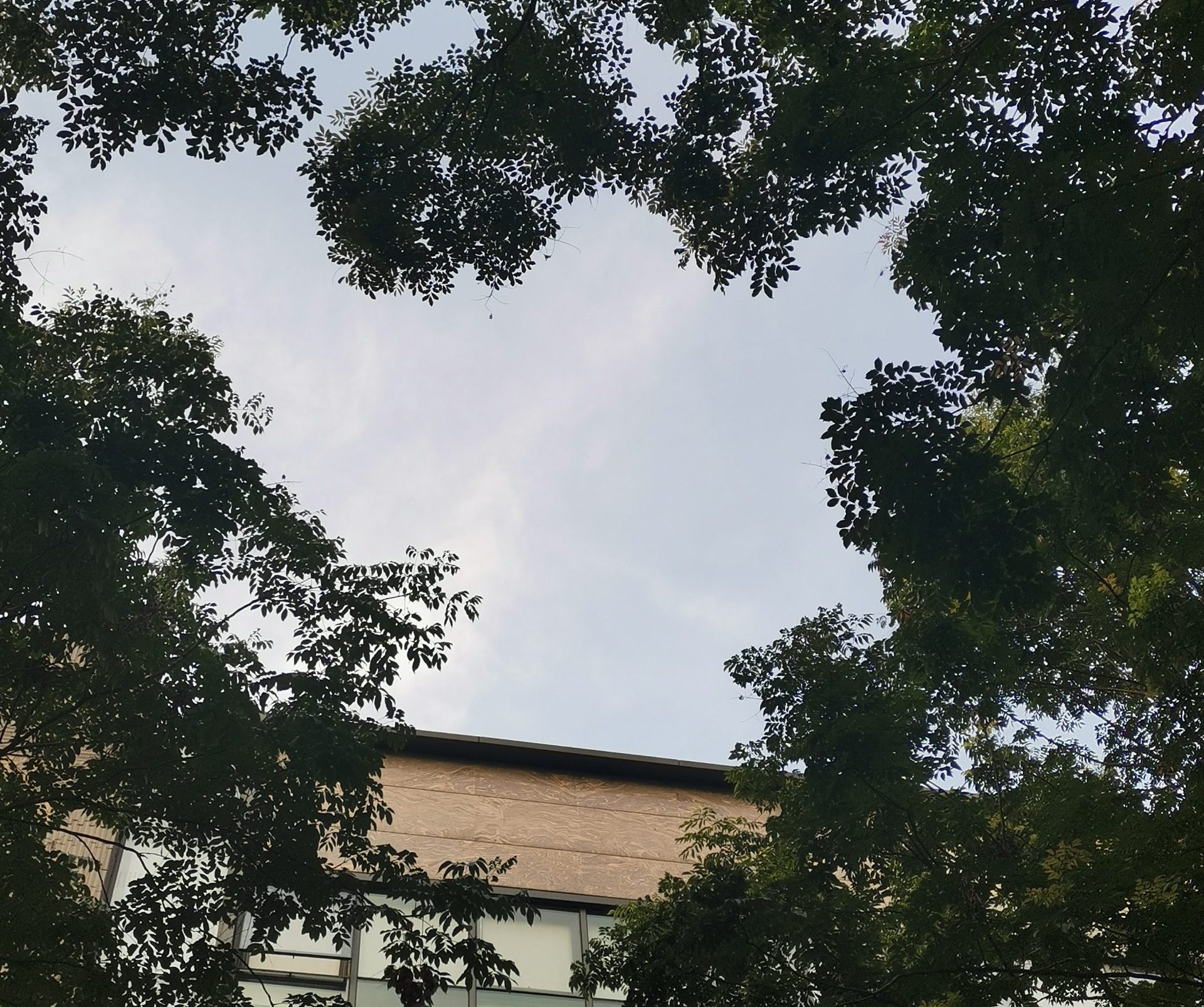 每一次听雨，都是在与自己和解