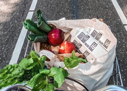 关于夏天的一切，似乎都很美好