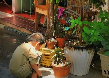 我又想爱这个世界了