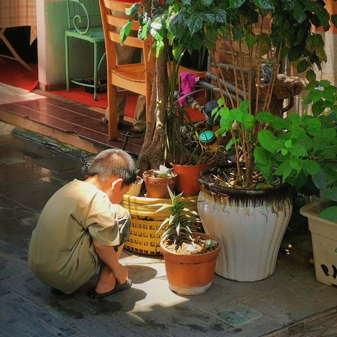 我又想爱这个世界了