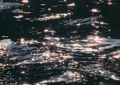 优秀作文《微尘梦光》