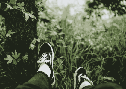 优秀作文《追风赶月，顽强拼搏》