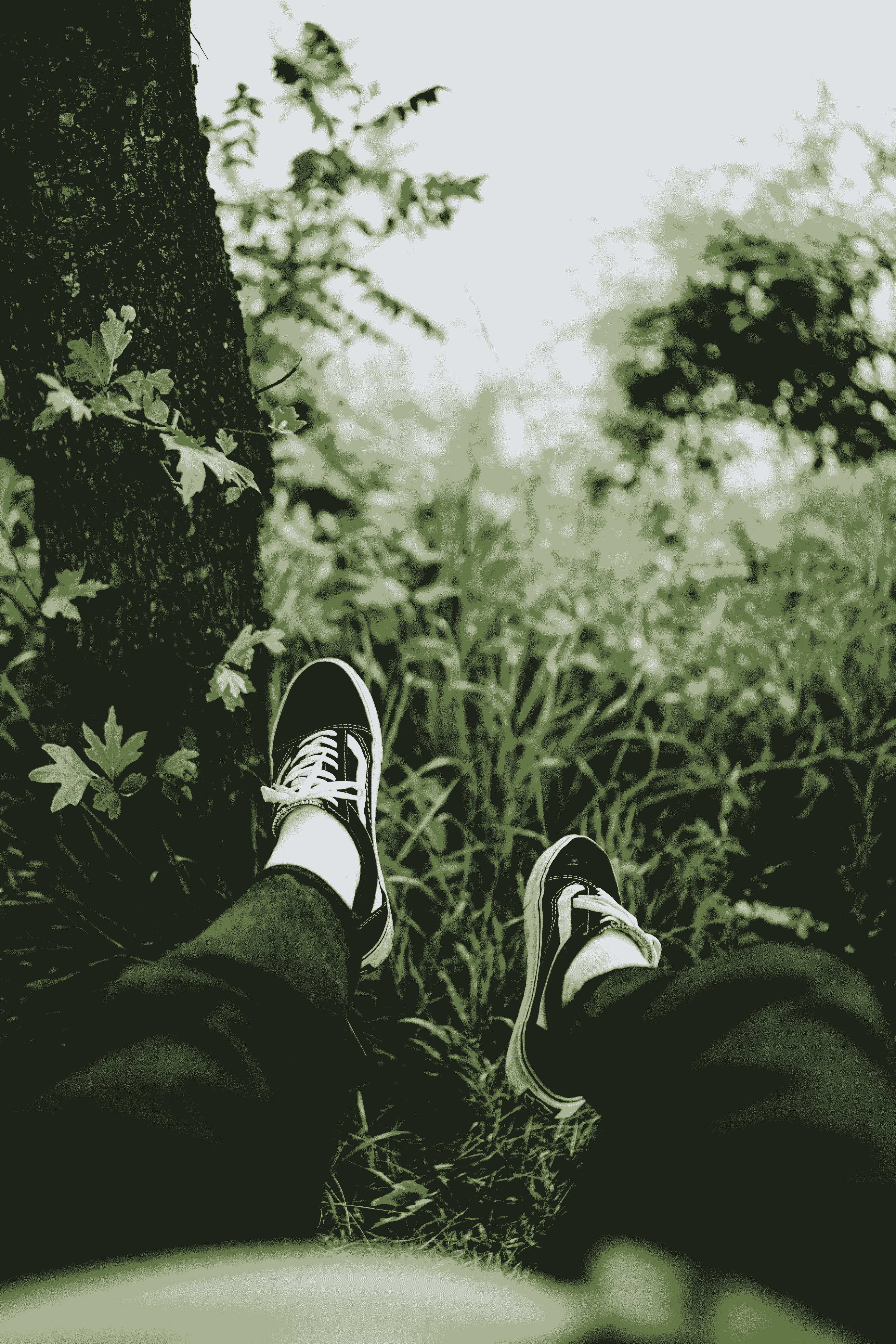 优秀作文《追风赶月，顽强拼搏》