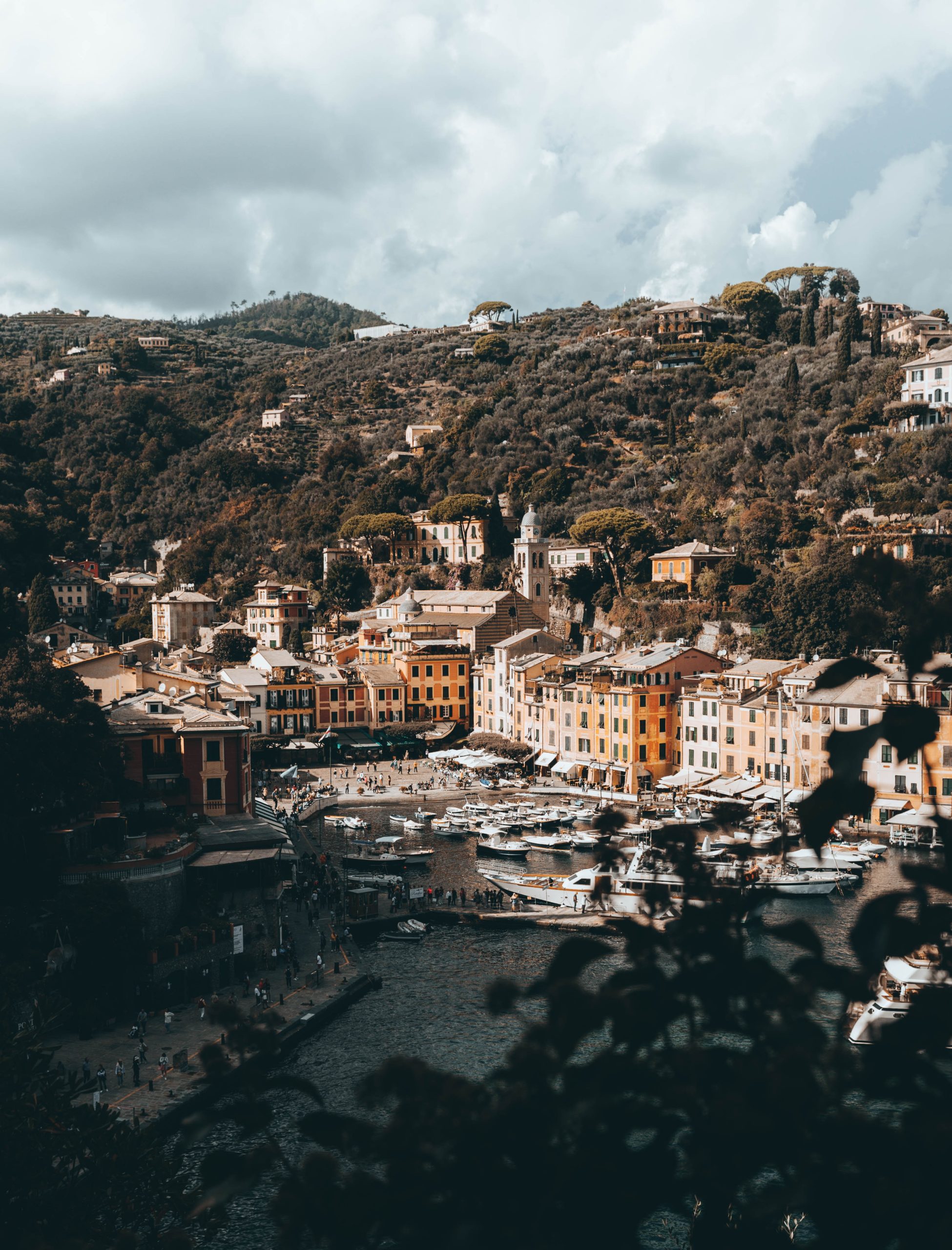 优秀作文《不驰于空想，不鹜于虚声》