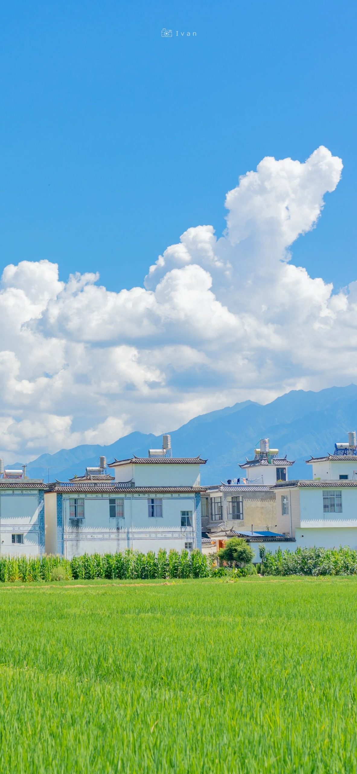 优秀作文《就这样慢慢长大》